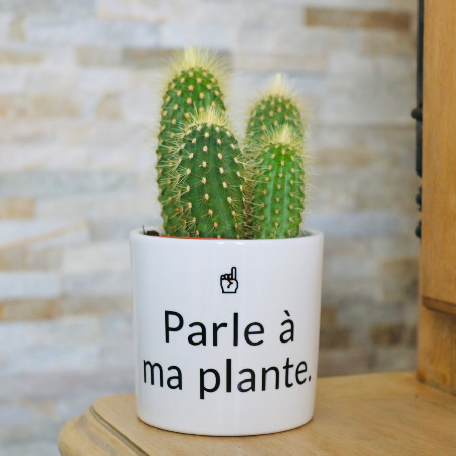 idée cadeau