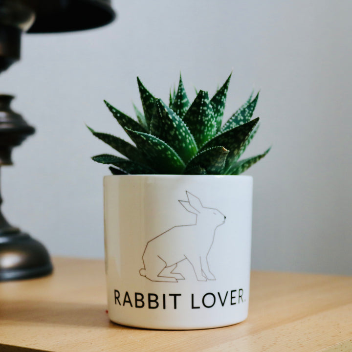 pot de fleurs lapin design