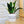 Charger l&#39;image dans la galerie, pot de fleurs personnalisé j&#39;aime pas quand on me plante
