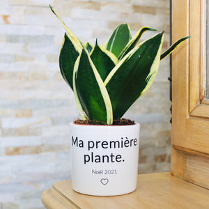 plante pour une enfant