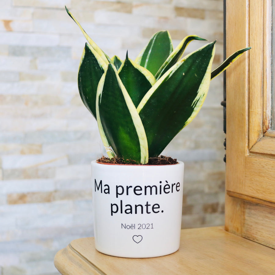 plante pour une enfant