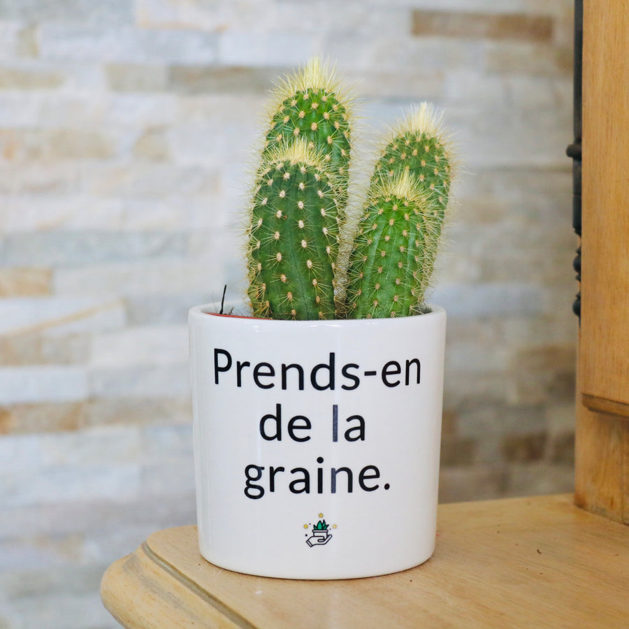 idée cadeau