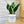 Charger l&#39;image dans la galerie, Pot de fleurs - Ne me laisse pas crever.
