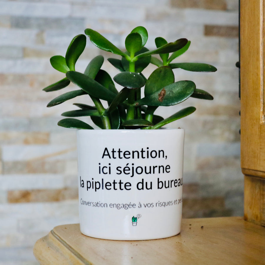 Pot de fleurs - Ici séjourne la piplette du bureau