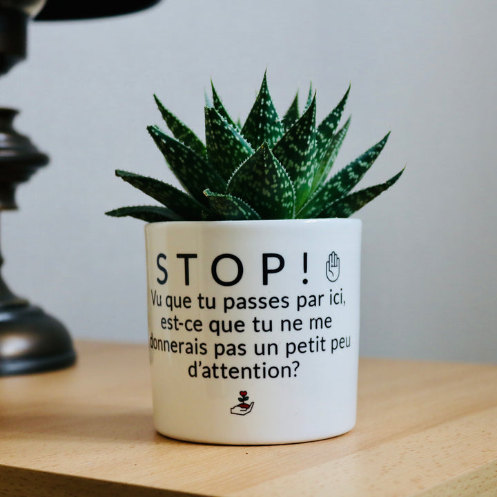 pot de fleurs pour ne pas oublier d'arroser