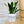 Charger l&#39;image dans la galerie, Pot de fleurs - Bienvenue chez toi humain.
