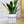 Charger l&#39;image dans la galerie, sanoa pots - Running
