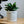 Charger l&#39;image dans la galerie, Pot de fleurs à personnaliser avec une définition
