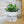 Charger l&#39;image dans la galerie, pot de fleurs personnalisé teckel lover
