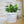 Charger l&#39;image dans la galerie, Personnalisez votre pot de fleurs - Version Texte Long
