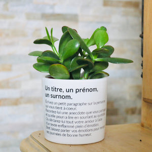 pot de fleurs personnalisé un titre, un prénom, un surnom
