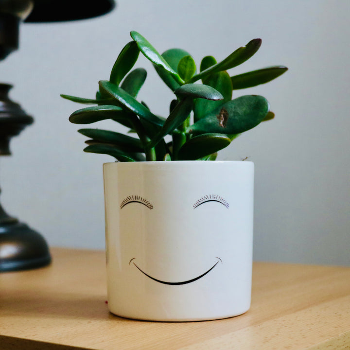 pot de fleurs smil