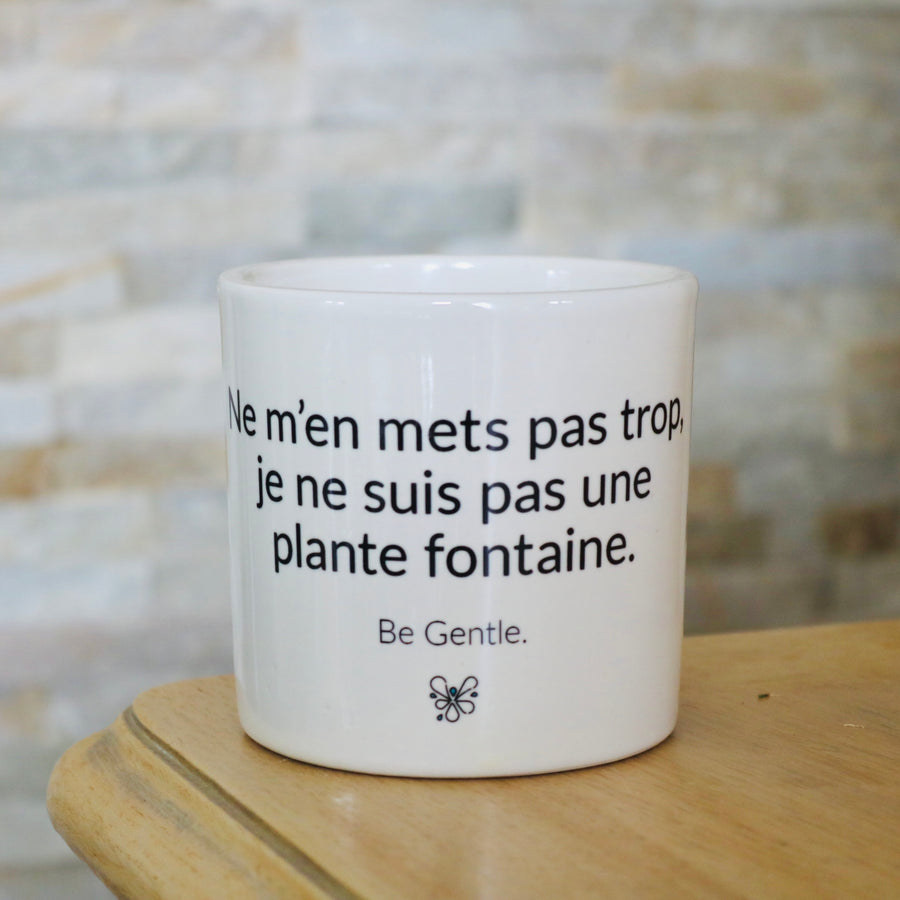 Pot de fleurs - Pas une plante fontaine.