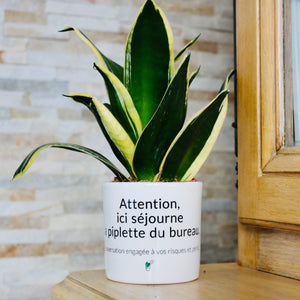 Pot de fleurs - Ici séjourne la piplette du bureau