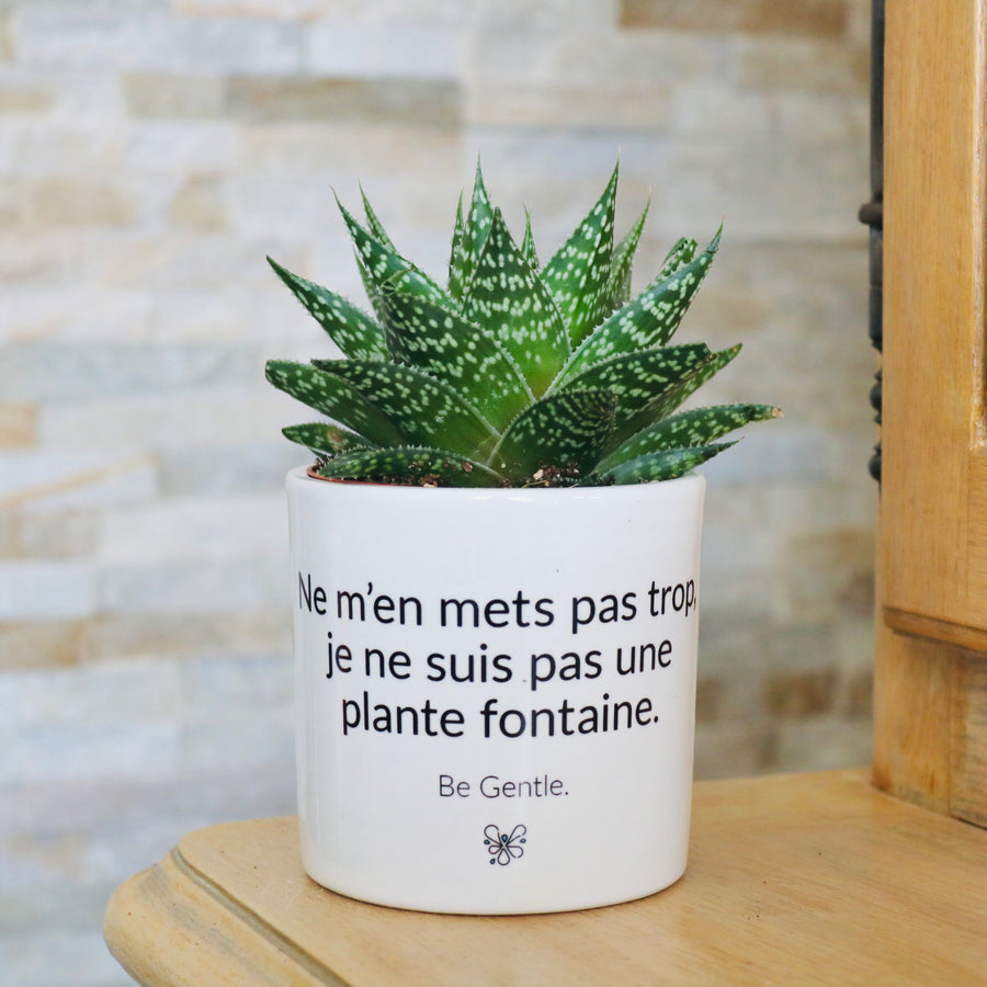 pot de fleurs personnalisé pas une femme fontaine