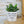 Charger l&#39;image dans la galerie, pot de fleurs personnalisé ma plante me rend sexy
