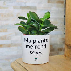 pot de fleurs personnalisé ma plante me rend sexy