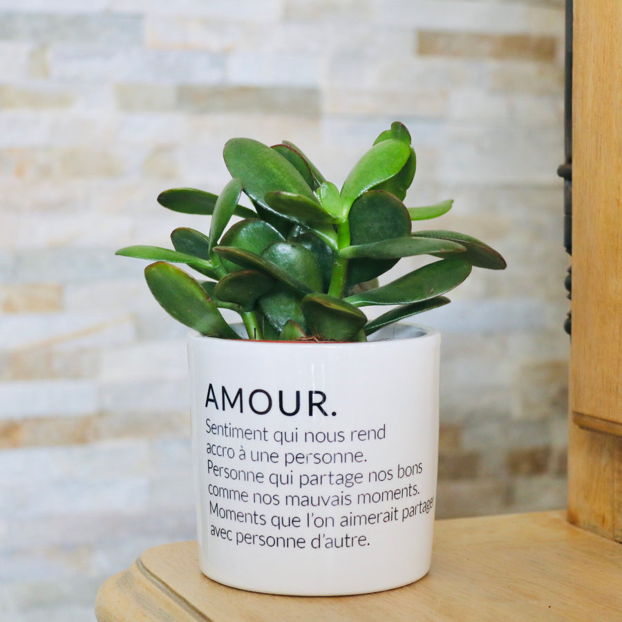 Pot de fleurs personnalisé Définition de l'amour
