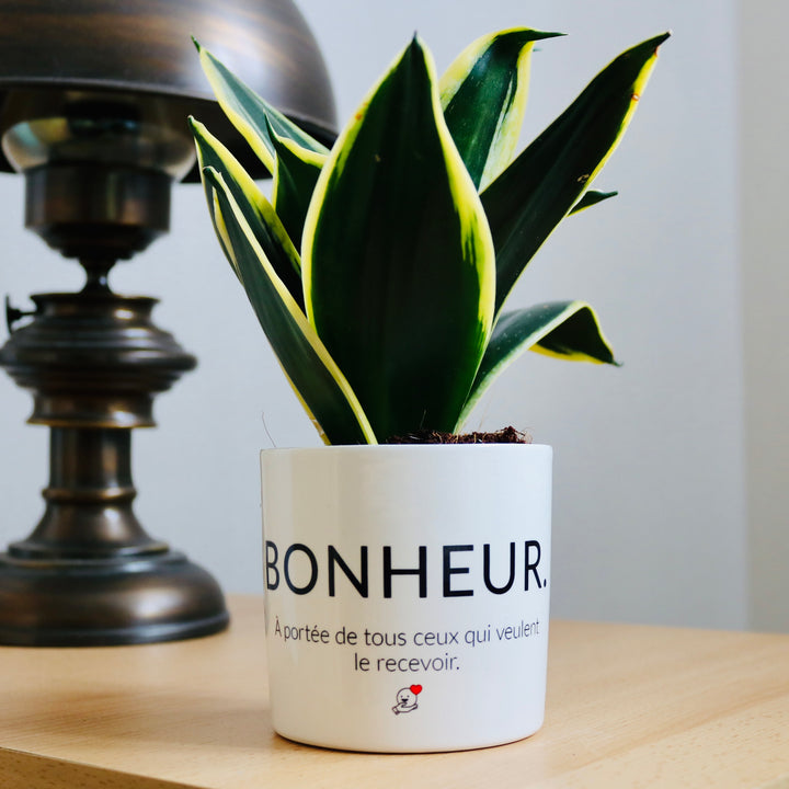 Pot de fleurs bonheur