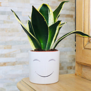Pot de fleurs - Smile.
