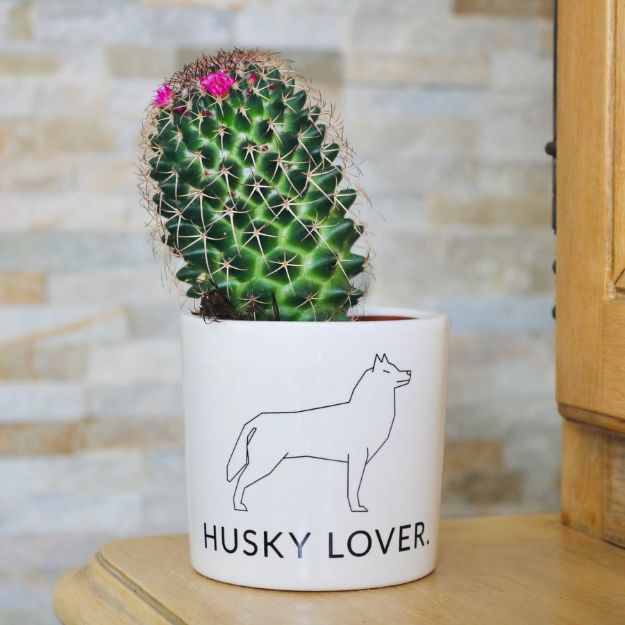 cadeau original fan de husky