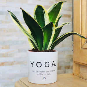 sanoa pots - Yoga