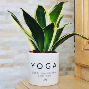 Pot de fleurs - Yoga.