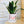 Charger l&#39;image dans la galerie, sanoa pots - amoureux mariage
