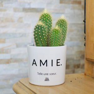 pot de fleurs personnalisé amie