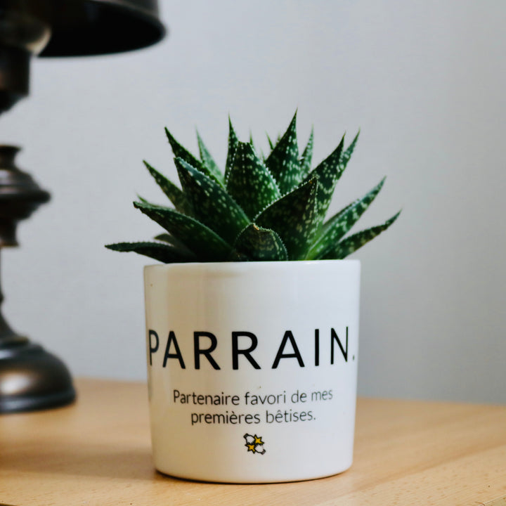 pot de fleurs parrain