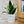 Charger l&#39;image dans la galerie, sanoa pots - collègue
