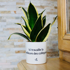 sanoa pots - Ici travaille la meilleure des collègues