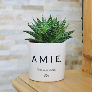 pot de fleurs personnalisé amie
