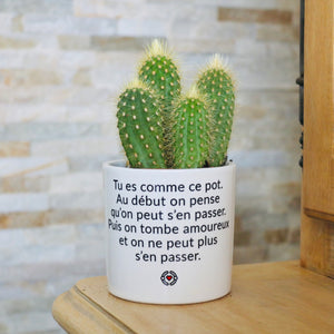 Pot de fleurs - Tu es comme ce pot. Addictif.