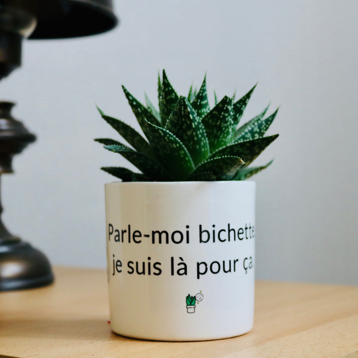 pot de fleurs Parle moi bichette