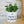 Charger l&#39;image dans la galerie, pot de fleurs personnalisé parle à ma plante
