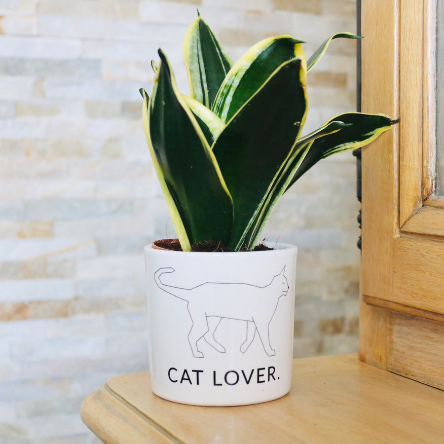 pot de fleurs personnalisé cat lover