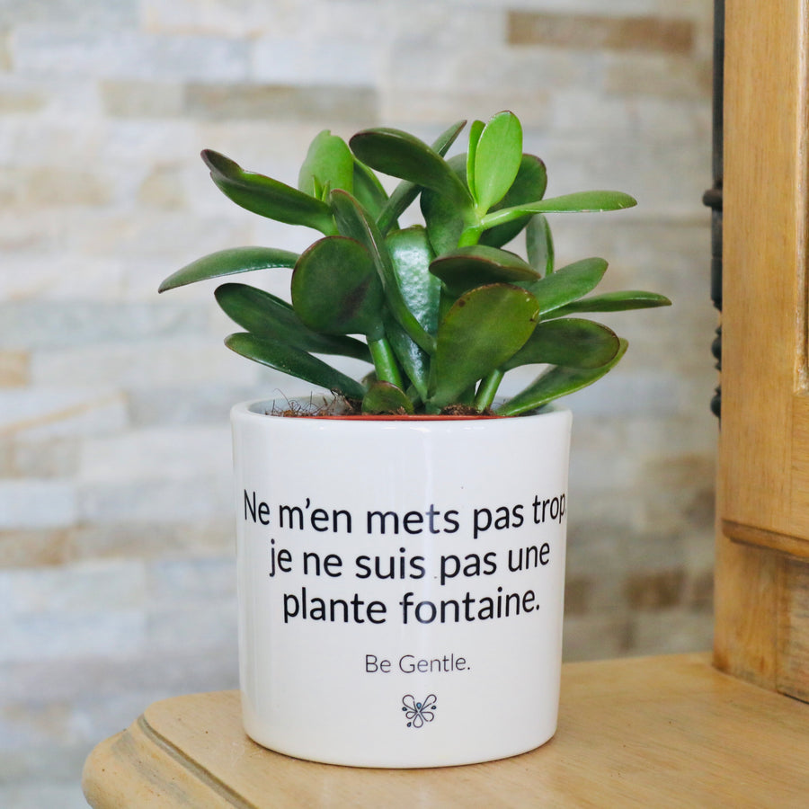 idée cadeau marrante