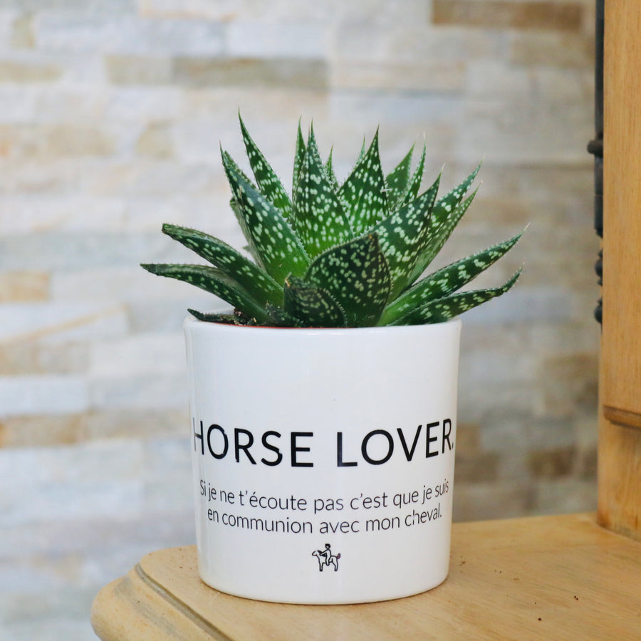 pot de fleurs fan de cheval