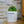 Charger l&#39;image dans la galerie, sanoa pots - collègue
