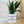 Charger l&#39;image dans la galerie, pot de fleurs personnalisé aussi piquante que cucculente
