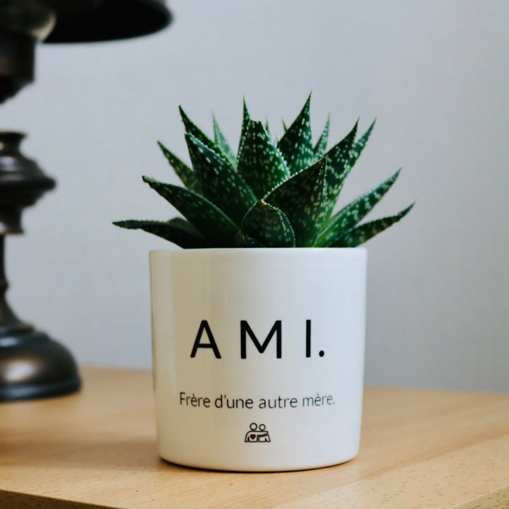 Pot de fleurs personnalisé pour un ami
