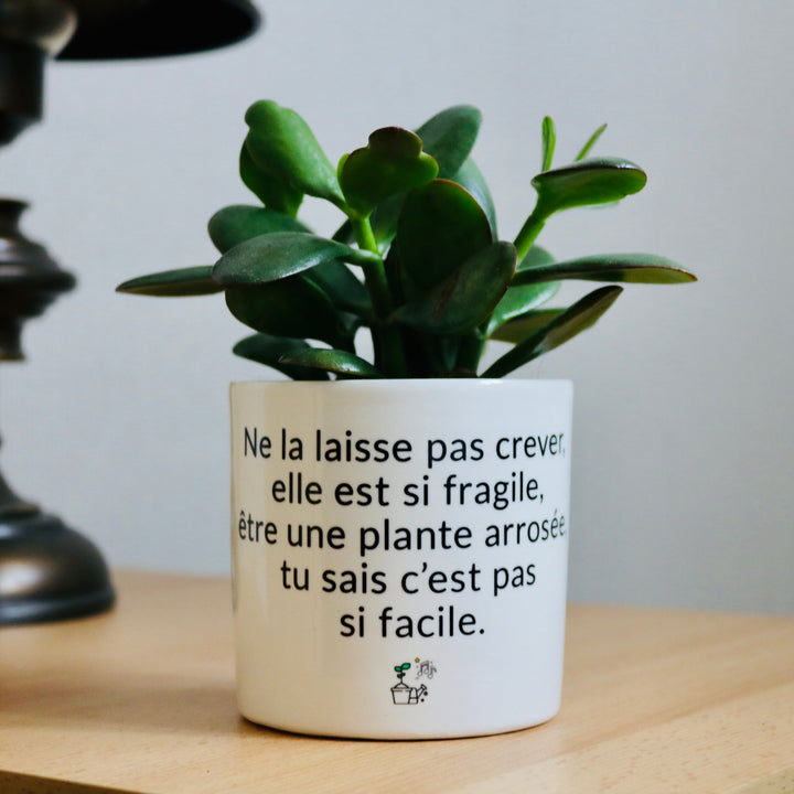 pot de fleurs ne la laisse pas crever