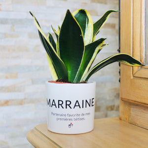 plante pour sa marraine