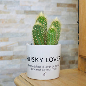 cadeau original fan husky