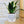 Charger l&#39;image dans la galerie, Pot de fleurs - Tu es comme ce pot. Addictif.
