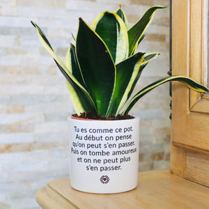 Pot de fleurs - Tu es comme ce pot. Addictif.