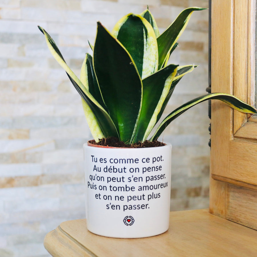 Pot de fleurs - Tu es comme ce pot. Addictif.