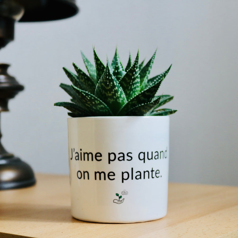 pot de fleurs j'aime pas quand on me plante