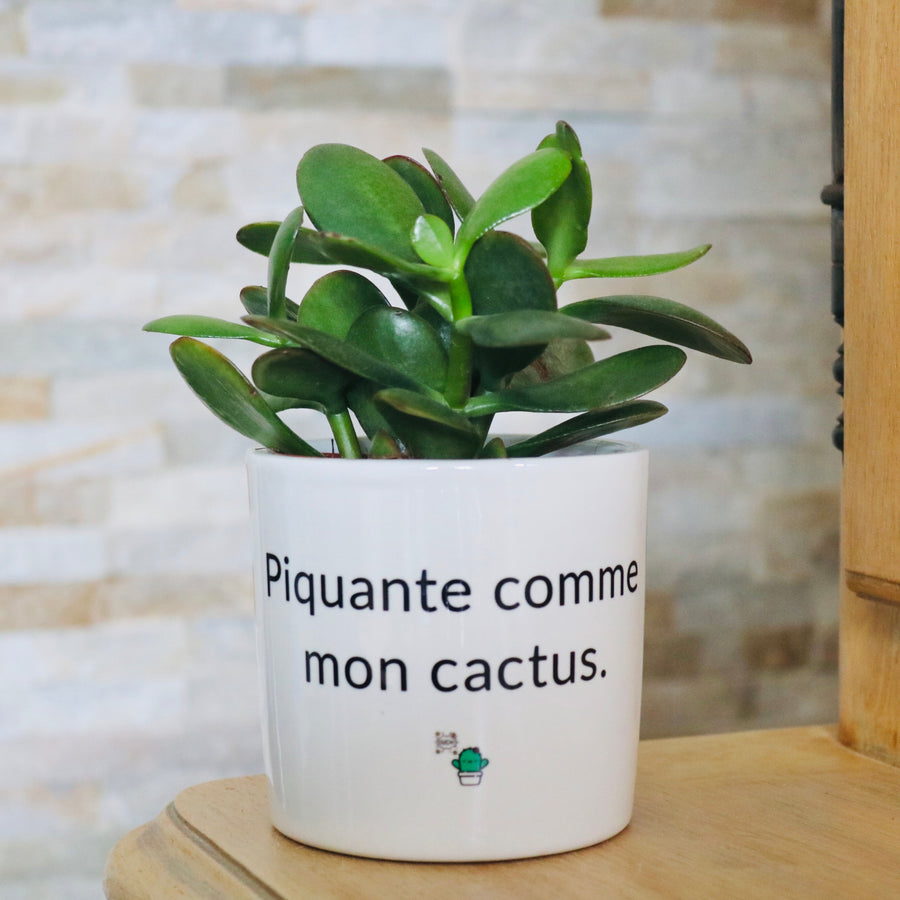 idée cadeau